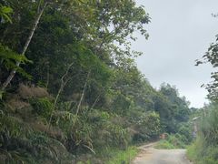 -海南热带雨林国家公园吊罗山景区