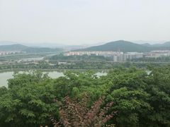 -羊山湖公园
