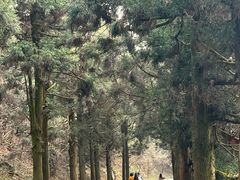 -南岳衡山风景名胜区