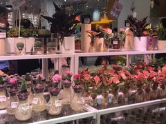 -KKV(深圳宏发大仟里店)