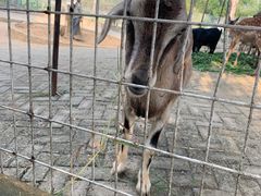 -武汉紫薇都市田园