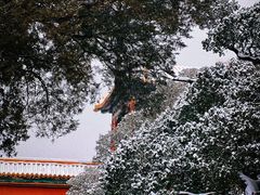 -故宫博物院(故宫)
