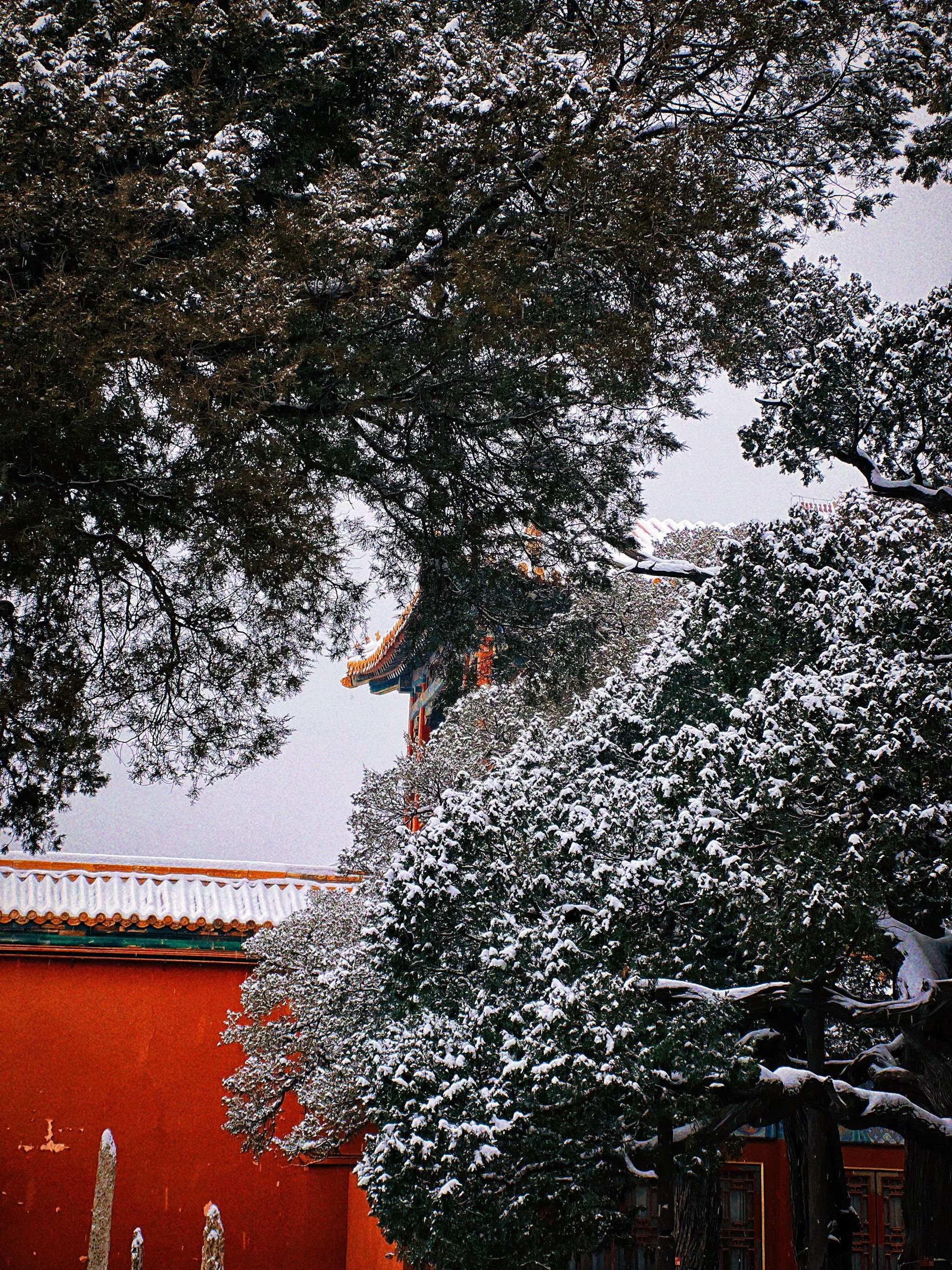 故宫 雪天路滑注意安全哦