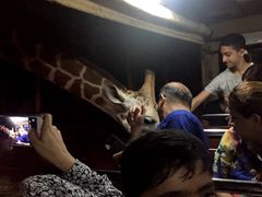 -清迈夜间动物园
