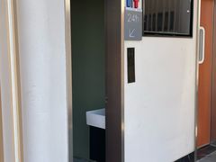 -春花秋色城市公园