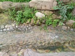 -燕塞湖鸟语林景区