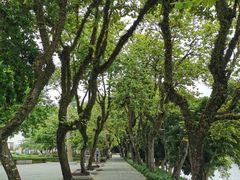 -潮镇老尾牛杂(环城西路店)