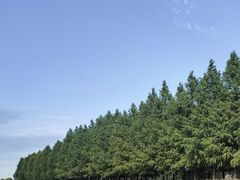 -嘉北郊野公园