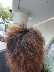 -吉艺心专业美发造型