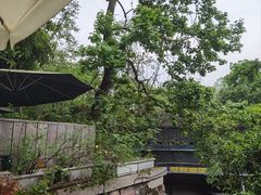 -龙井壹号·茶缘山景宴(龙井村店)