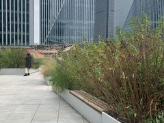 -凤凰湘语·湘粤和鸣(浦东旗舰店)