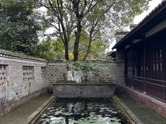-八大山人梅湖景区