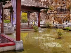 -凤翔首邑温泉度假村