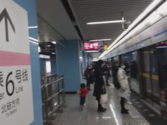 -大龙山(地铁站)