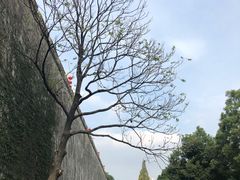 -东水关遗址公园