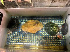 -谷咖啡·鲜花绿植花园餐厅