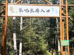 -汤旺河林海奇石景区