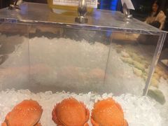 -马哥孛罗酒店·SAVVY全日餐厅