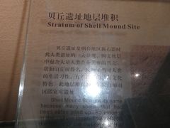 -烟台市博物馆