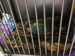 -纽顿熟食中心