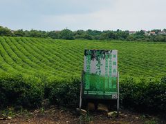 -敬亭山风景名胜区