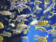 -成都浩海立方海洋公园