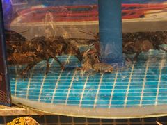 -一方渔歌蒸汽海鲜自助(文化路万达广场店)