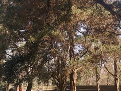-廖仲恺何香凝墓
