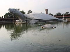 -东方巨龟苑景区