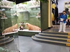 -国家自然博物馆