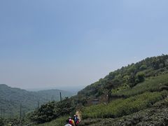-东山风景区(洞庭东山)