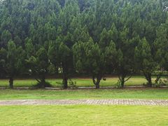 -南沙蒲洲花园