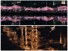 -西北湖绿化广场