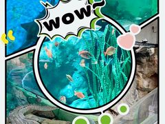 -上海海洋水族馆
