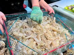 -养牛邓·潮汕牛肉海鲜自助火锅(广州店)