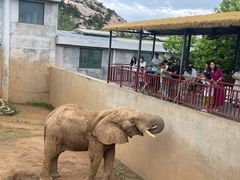 -西霞口神雕山野生动物世界