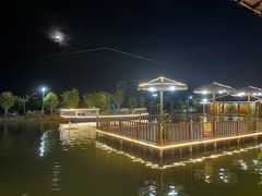 景观位-一煲鸽