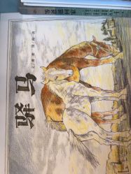 -meland亲子乐园•活动包场(北京亦庄龙湖天街店)