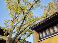 -灵谷景区