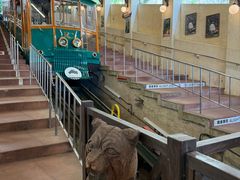 -神户市立六甲山牧场