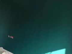 -立邦( 真北红星美凯龙专卖店)