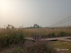 -西青郊野公园
