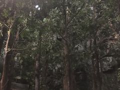 -张家港金凤凰度假村温泉