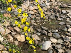 -中国银行江苏省分行培训中心