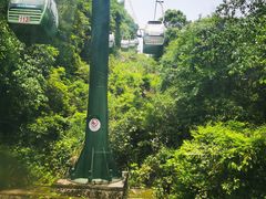 -大鄣山卧龙谷景区