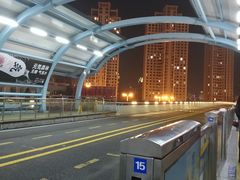 -演武大桥观景平台