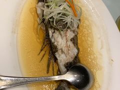 -席家花园(巨鹿花园店)