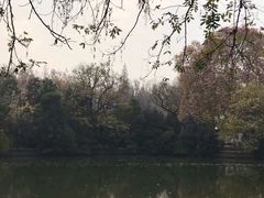 -浮庄