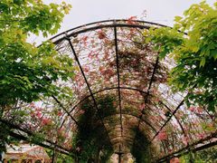 -The Grounds of Alexandria