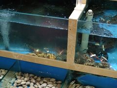 -良师门滨海人家·海鲜·家常菜(滨海城店)